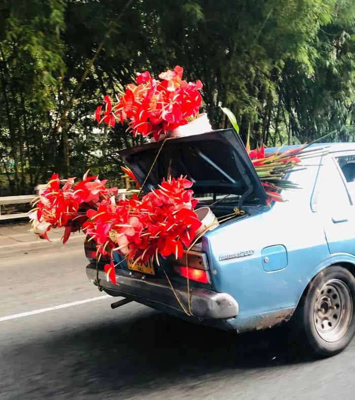 A street scene in Cali, Colombia